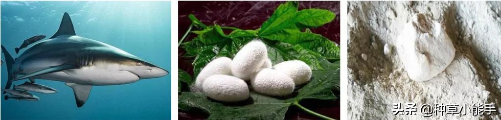 一抹磨皮棒,一抹磨皮