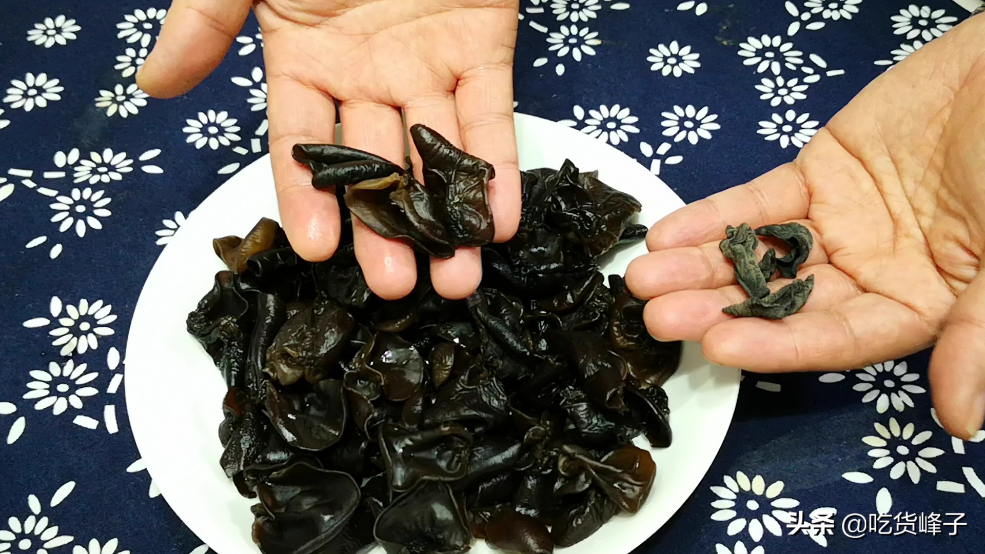 干黑木耳怎么选才能买到好的,买木耳是越黑越好吗