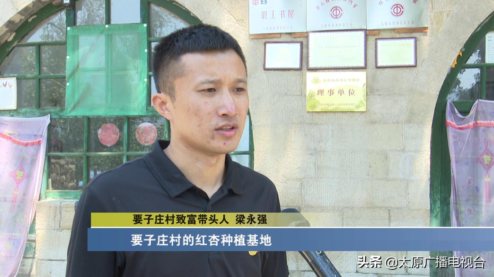 乡村振兴!太原要子庄村“绿”土地长出“金娃娃”