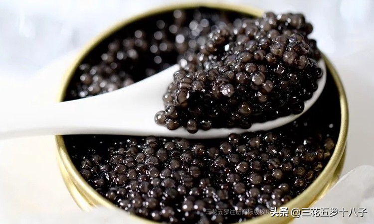 鱼子酱是三大奢侈品美食吗,世界三大美食鱼子酱