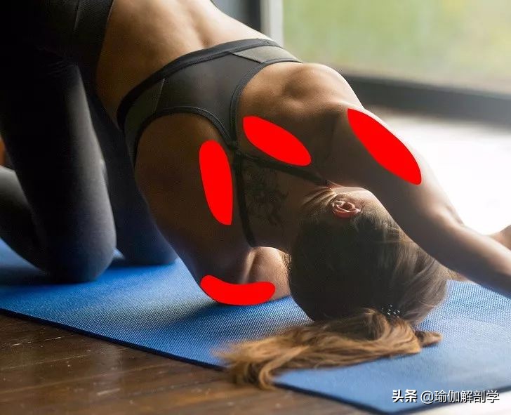 背部肩颈瑜伽,缓解腰颈酸痛的瑜伽动作