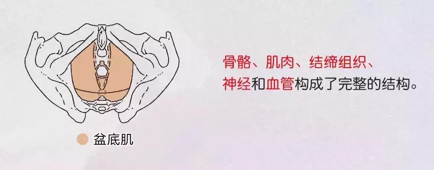 产后42天至1年，是改善“幸福肌”的最佳时间