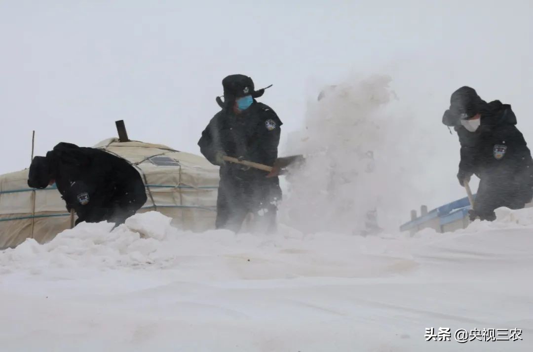 接春的时候应该说什么,接春羔的时候图片