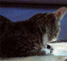 蛀牙了十几年还需要做根管治疗吗,蛀牙了一个小洞要根管治疗吗