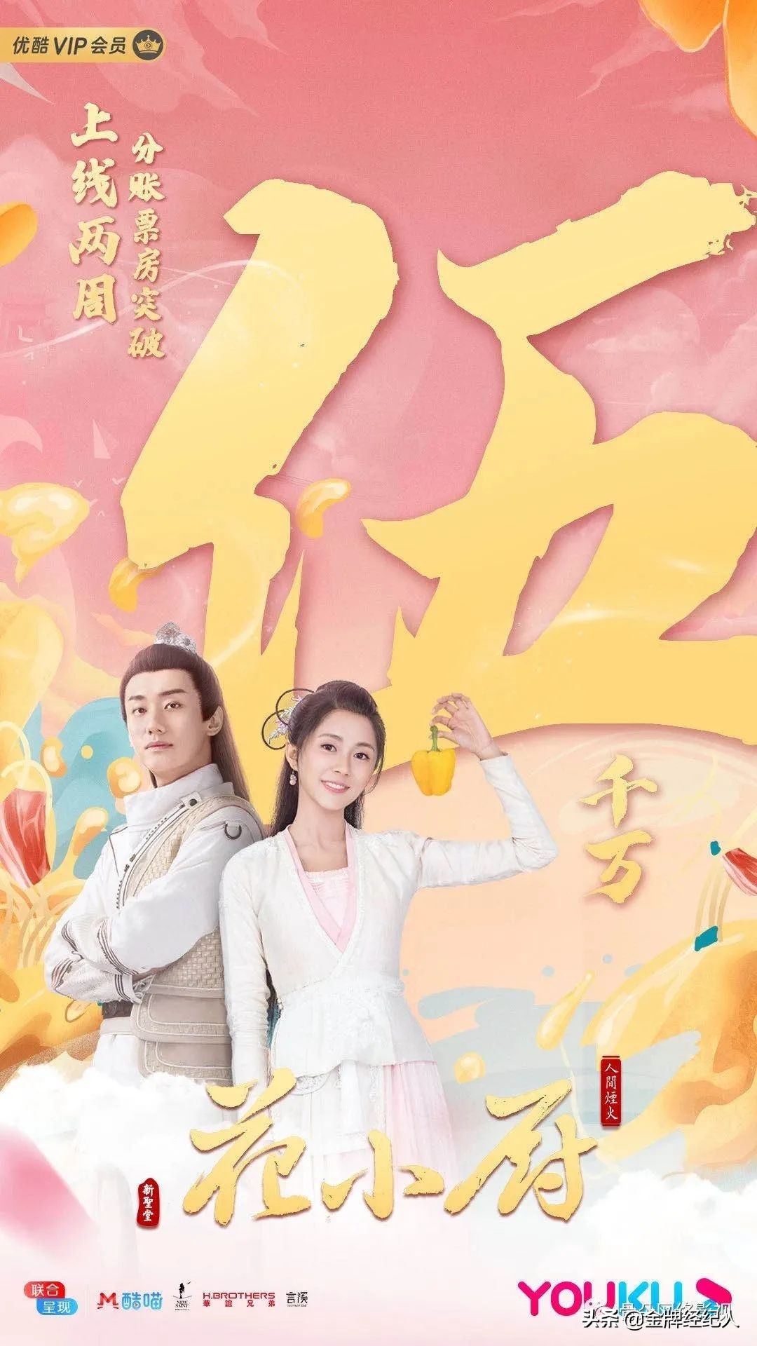 视频播放平台会员,视频平台会员