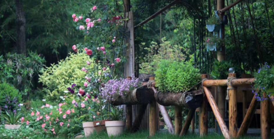 20w打造吃住玩一体农庄,有吃又有玩的农庄