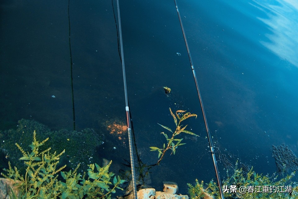 渔具基本常识,掌握钓鱼知识钓鱼不再难