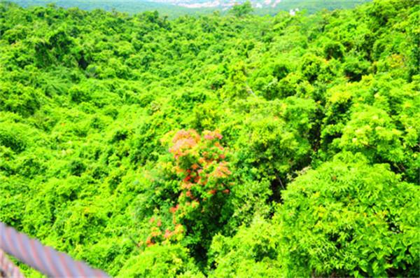 重庆到三亚怎么去最便宜,重庆到三亚途经哪些旅游城市