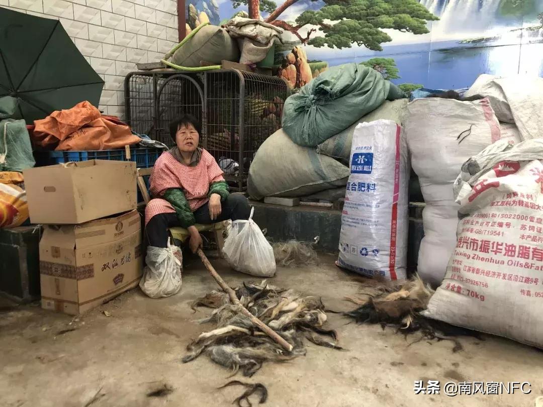 假发之都河南许昌工厂源头,假发之都许昌在哪个省