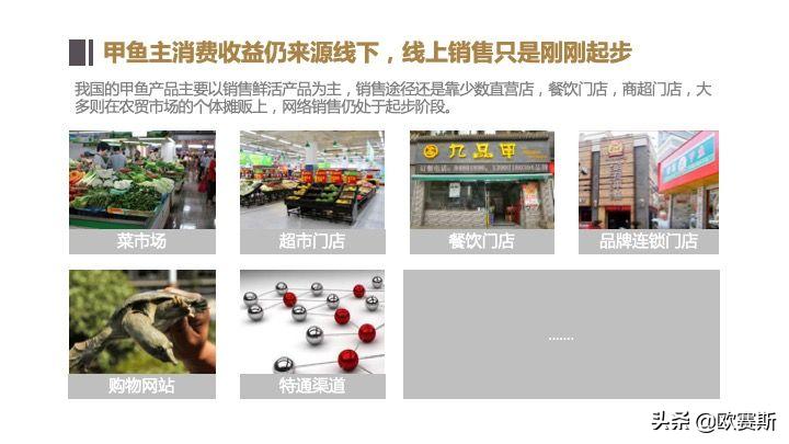 欧赛斯带你全方位洞察甲鱼市场发展趋势及竞争格局