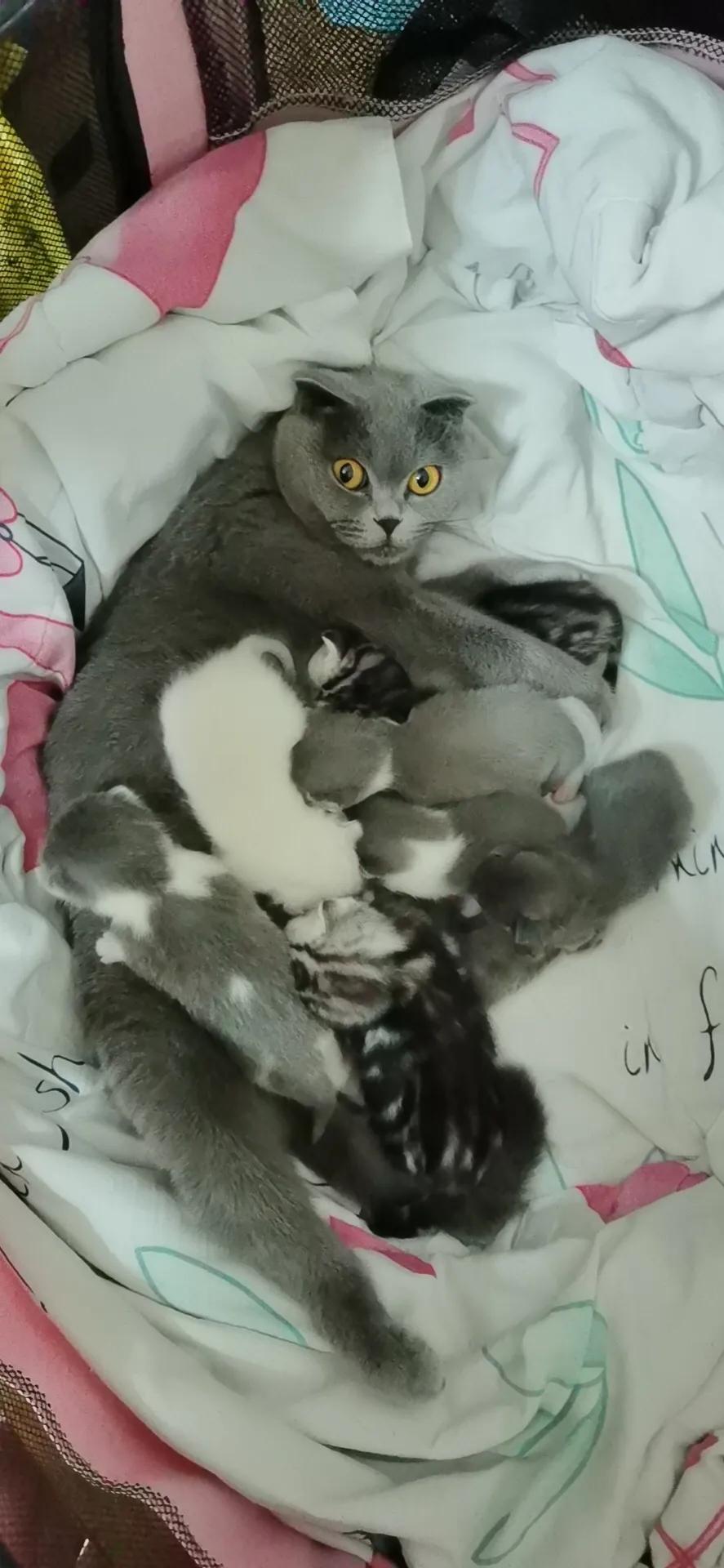 明天我的小屁屁要去深圳了