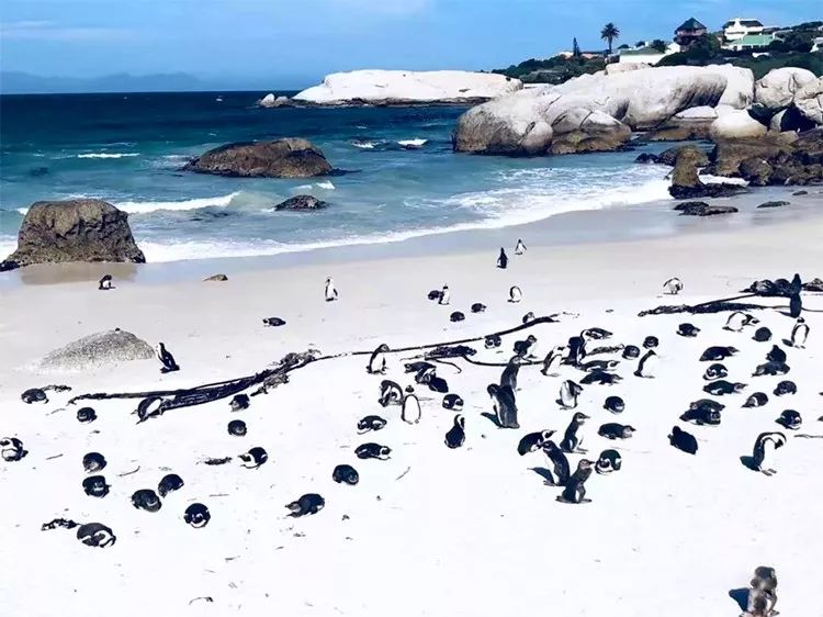 「东郊」5万人民币能干嘛？而我却能带你周游世界！