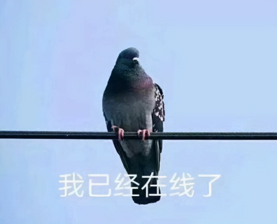 英雄联盟火爆游戏排行,英雄联盟手游开服热度