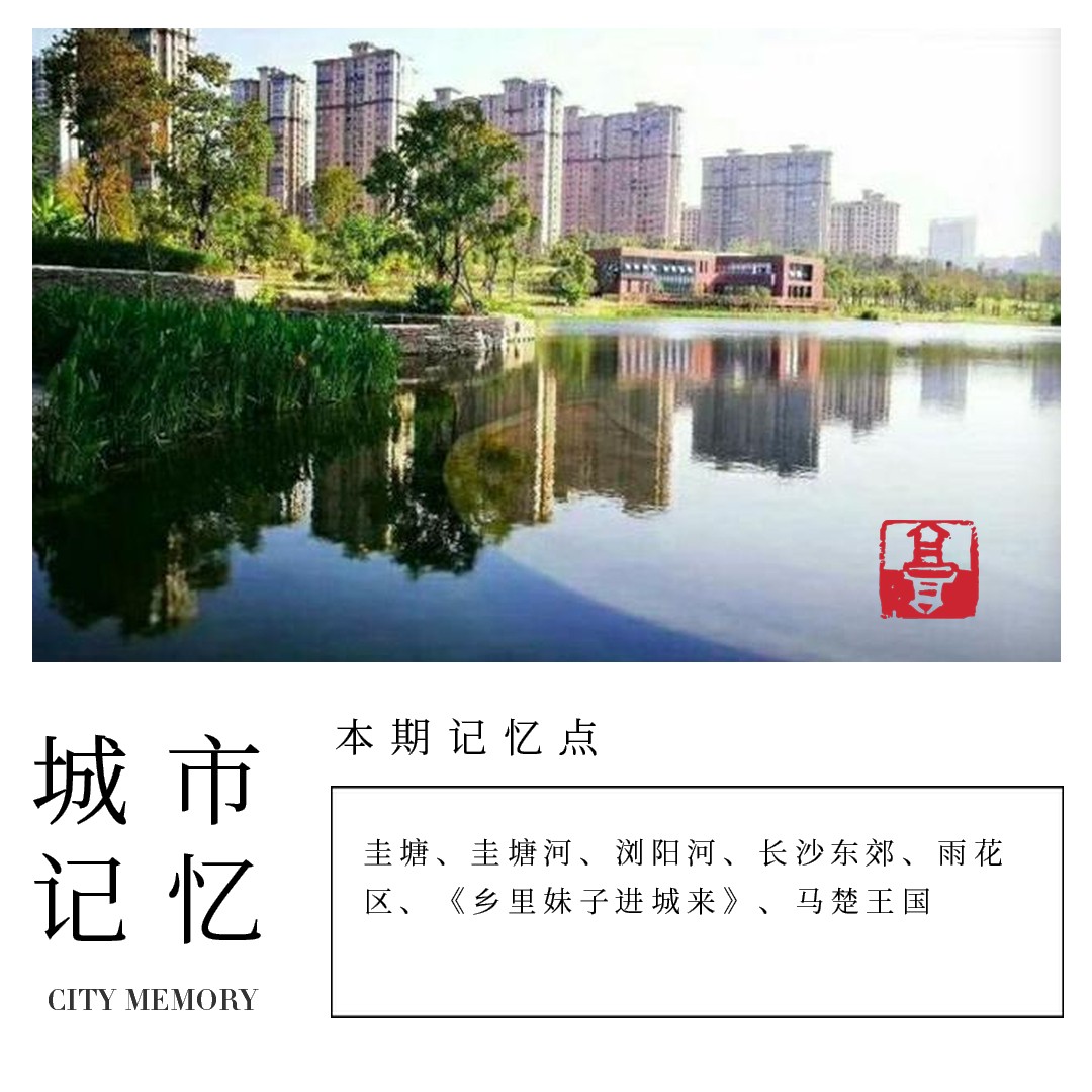 从臭水沟到打卡的经历,圭塘河臭水沟风光