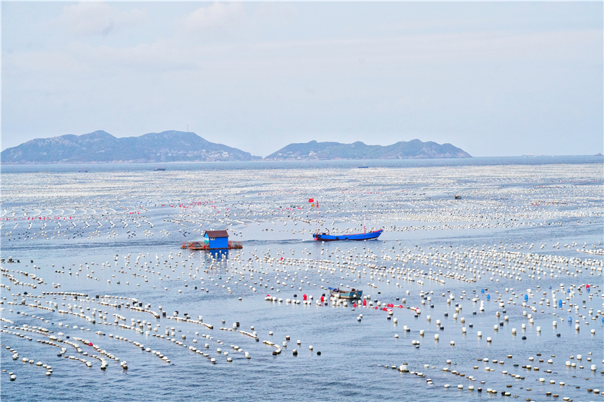 嵊泗东海渔村看日出攻略,嵊泗列岛纯海慢生活三日游
