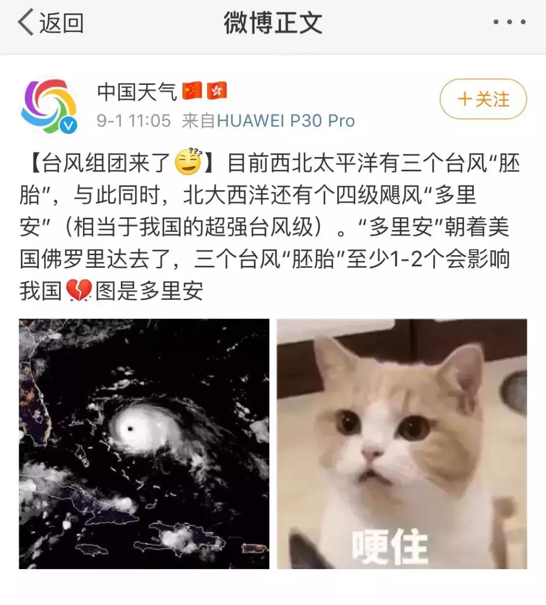 台风胚胎组团最新视频,台风胚胎混战