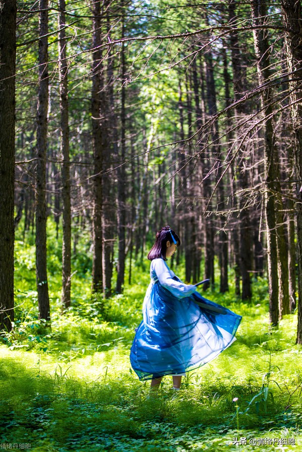 门头沟避暑景点推荐,柳树沟自然风景区旅游攻略