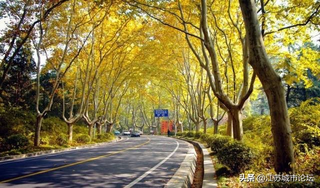 台湾学生拍电影,台湾mycity