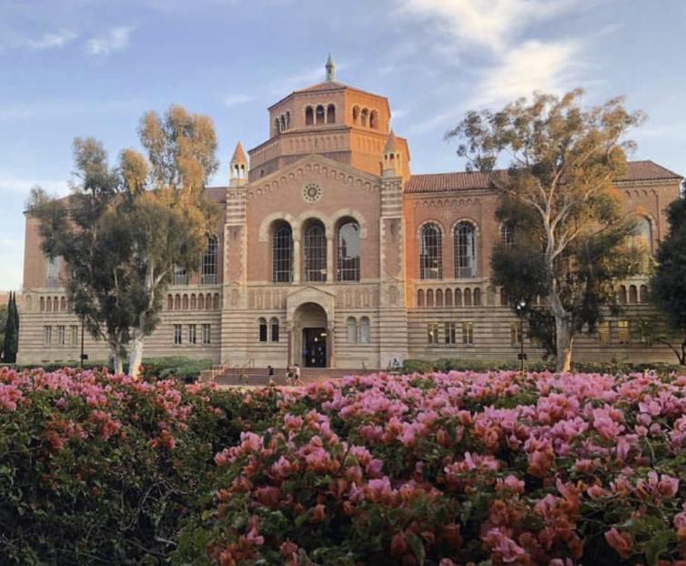 美国奥运会冠军最多的大学,美国奥运奖牌最多的大学