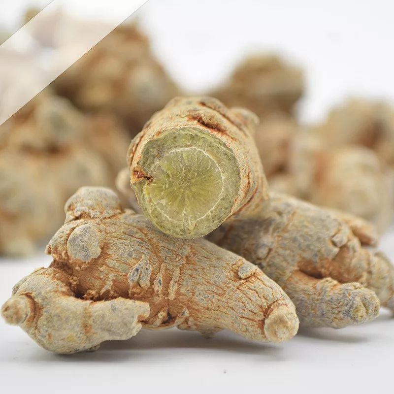 中医养生三七的药性讲解,医药小常识三七