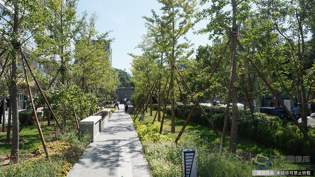 北京十大街巷排行榜,北京最美街巷评选标准