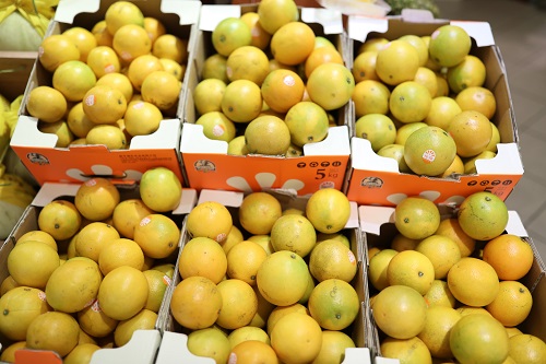 好物种草短视频带货,好物种草视频带货