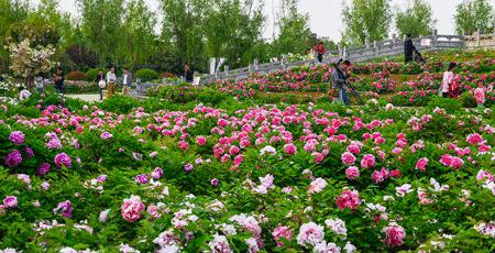 南阳最新重要新闻,河南南阳有什么大事