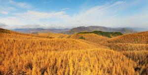 固原市简介概况,宁夏固原市简介