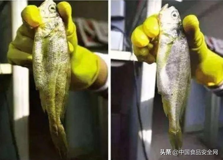 鱼贩售卖染色鱼获刑,无良商贩使用有毒染料