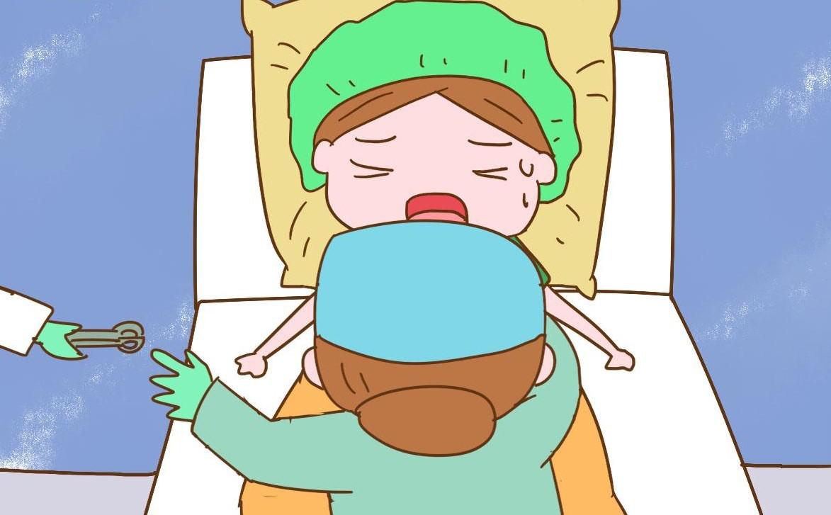 生娃比例省份,生娃快慢的原因