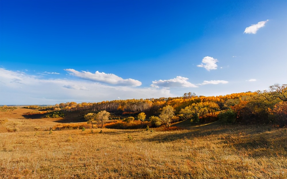 杜华东北味,杜华