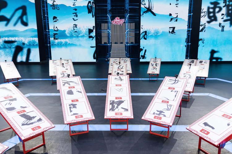 人们对张海书法如何评价,最强大脑张卓豪被淘汰