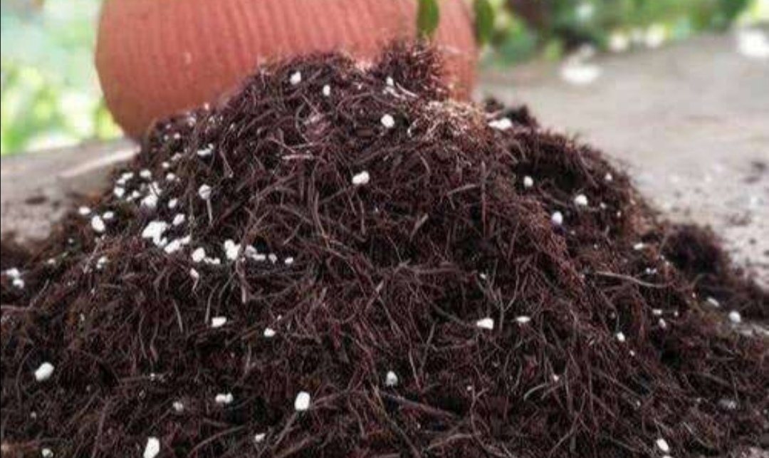 花卉营养土养花专用,最简单的自制养花土壤方法