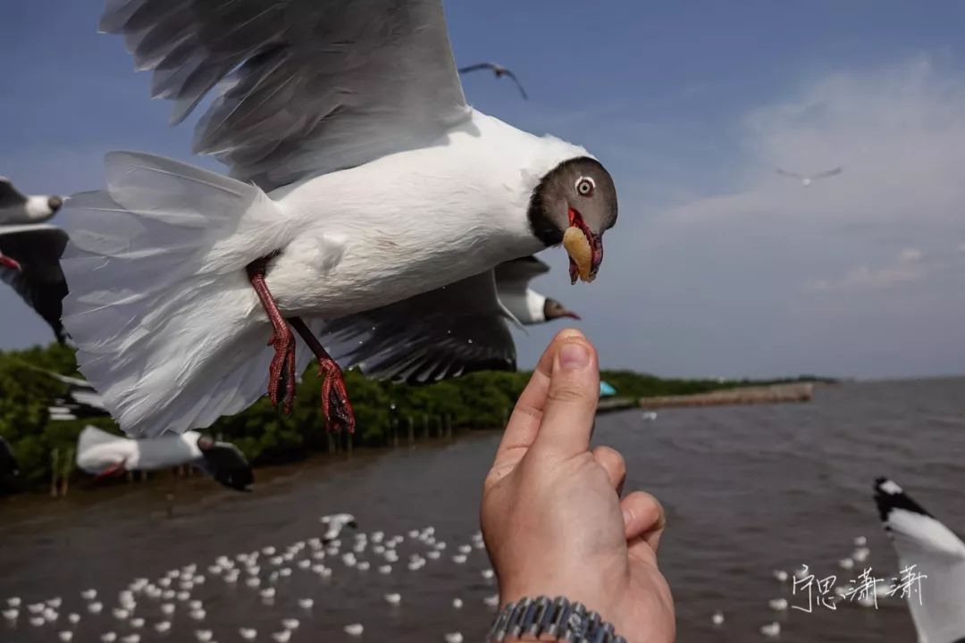 对焦方式怎么调整单次对焦,视频对焦4分钟学会30种对焦策略