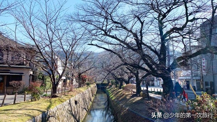 日本京都哲学之道攻略,日本京都自由行最佳攻略