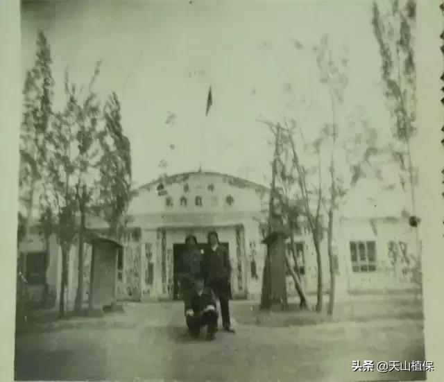 伟大的新疆,伟大的阿勒泰