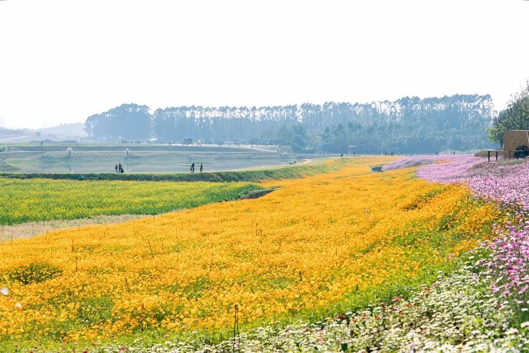 深圳周末浪漫好去处,深圳浪漫约会地点十个景点
