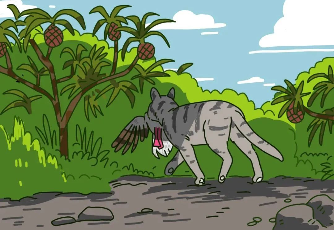 观往知来的含义,一封寄到西沙的信