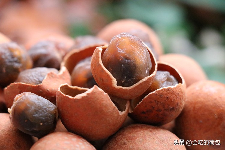 9月,遇上桂圆别手软,多买些蒸好后再晒一晒,过阵子就少了