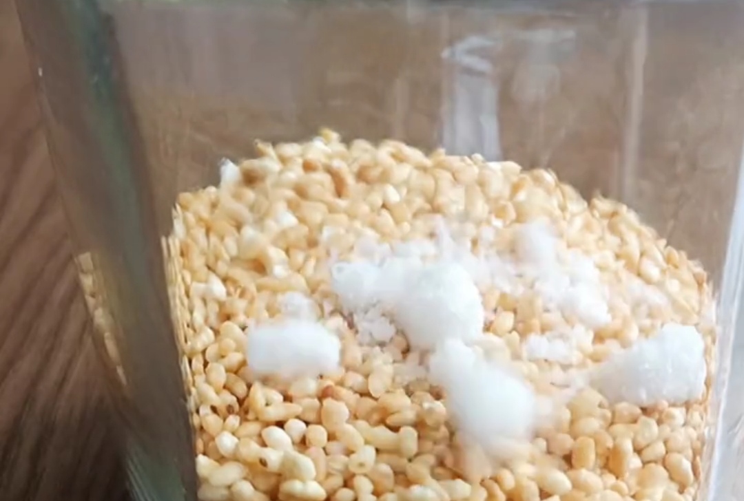 自制白醋的正确方法与详细步骤,农村土方法自制白醋视频