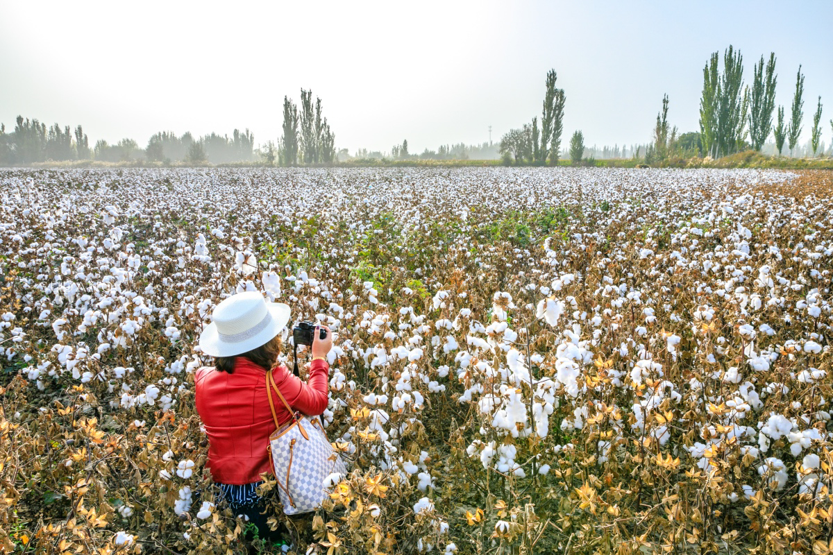 疆内哪里好玩风景好,疆内好玩的地方推荐