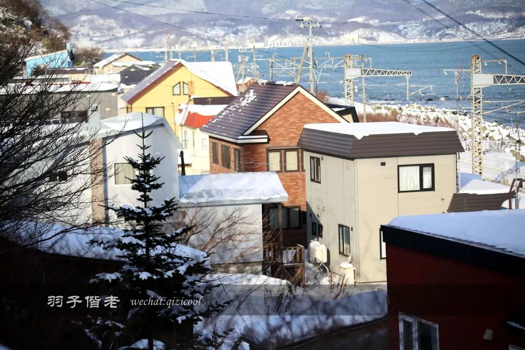 日本10天自由行费用北海道,东京北海道5日自由行攻略