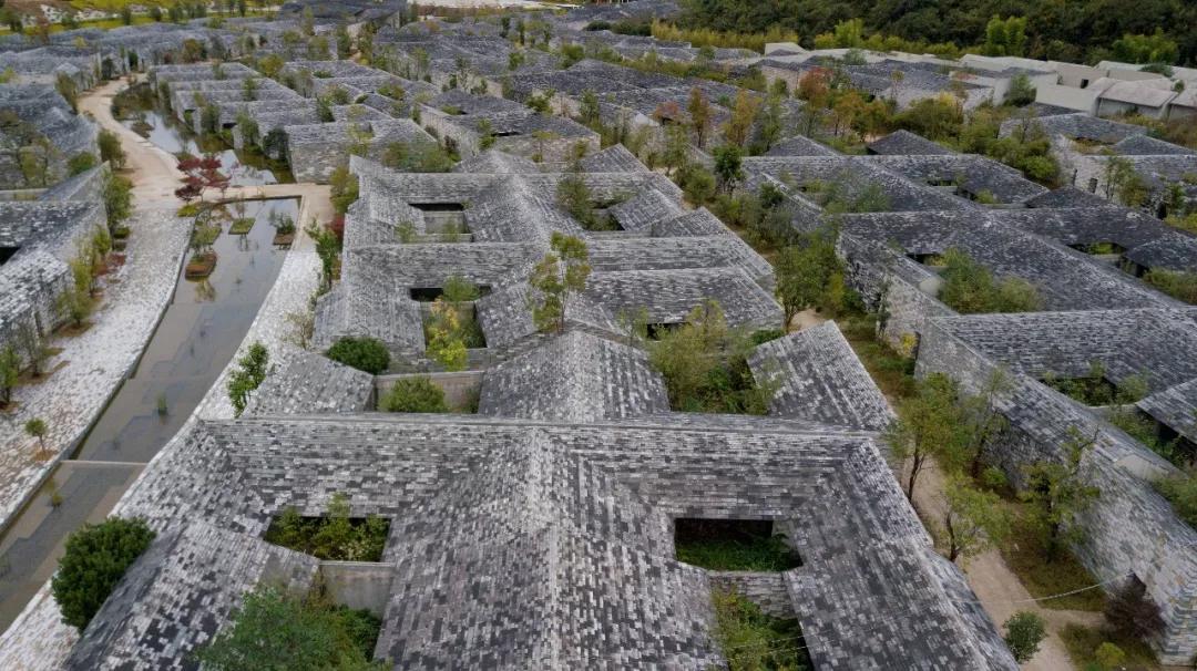 这是一个充满生机的公园怎么说,这是一个充满生机的国度朗诵