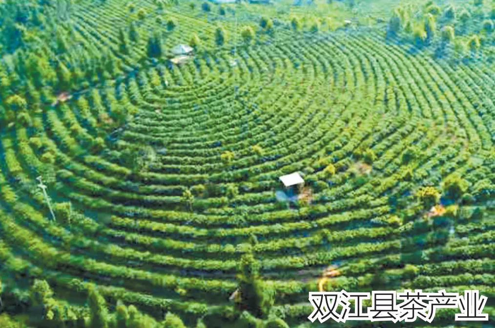 2018云南各地州招商引资,云南16州市如何招商引资