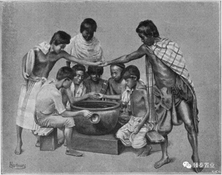 暹罗斗鱼——色与美的战舞