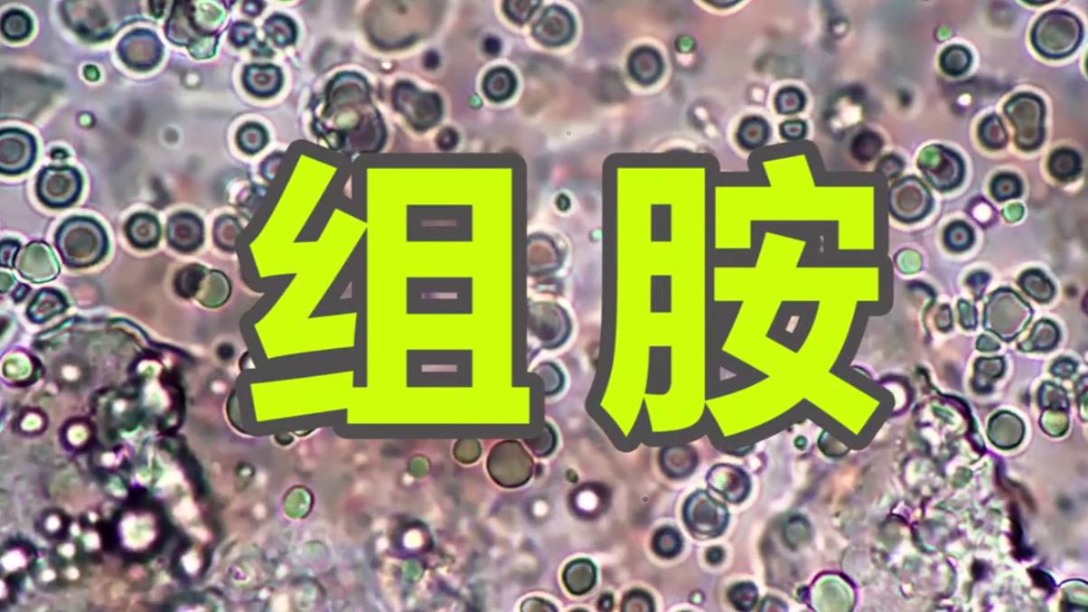 为何死掉的螃蟹不能吃,为什么死的螃蟹不能卖