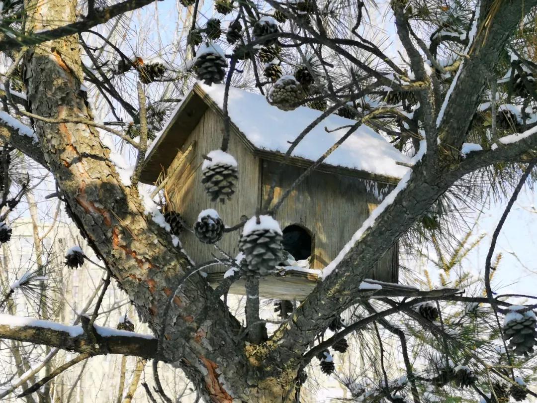 辽宁省本溪市高级中学,本溪市高级中学2021高考成绩