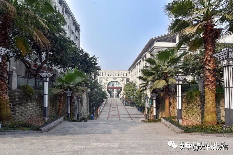 体育特长如何走统招路线,以艺术特长生进入高中