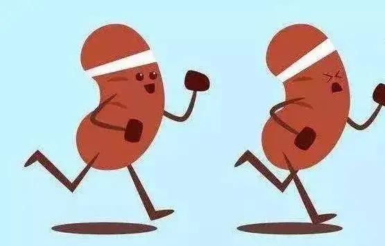 猫肾衰和磷元素摄入的关系是什么？又该如何限制磷元素？教你3点