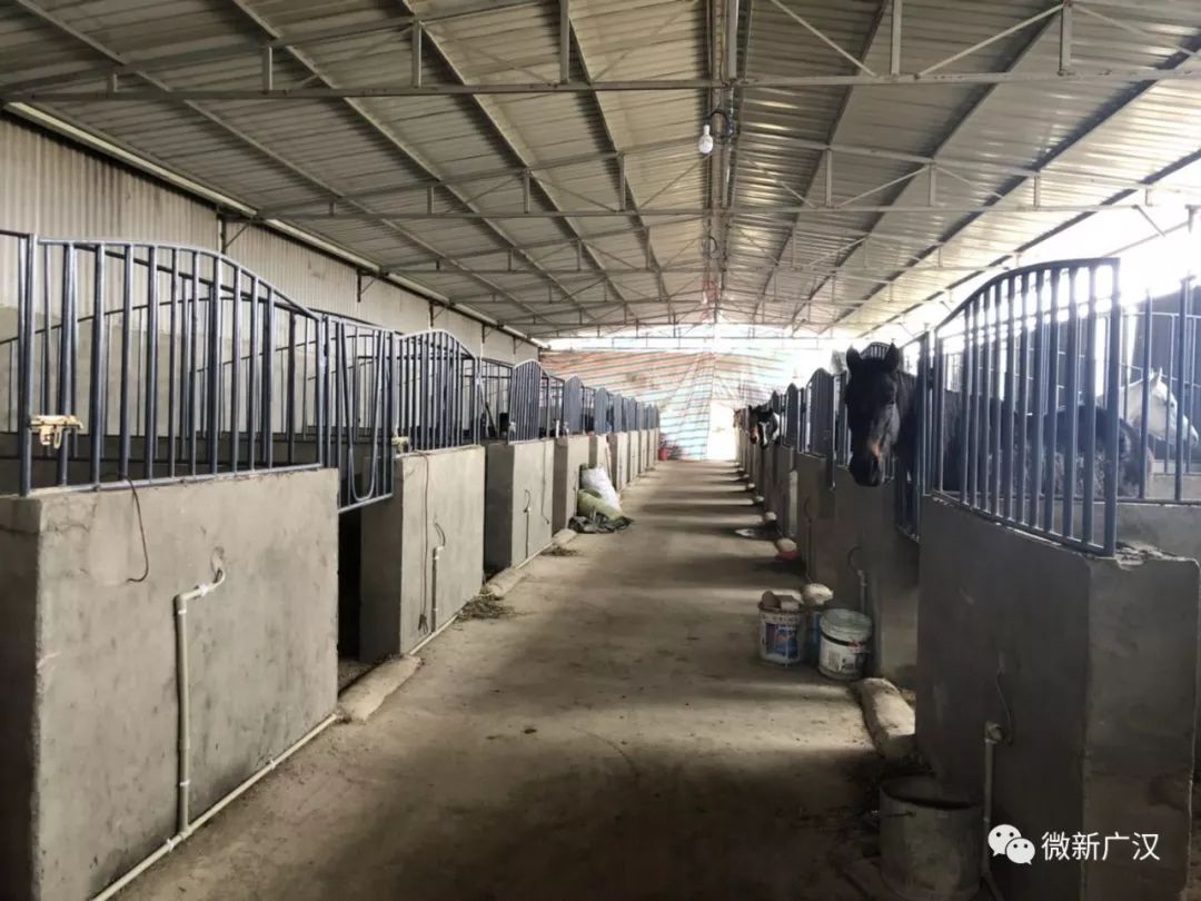 游记|来和兴吧!这里的美景美食每一样都超skr~